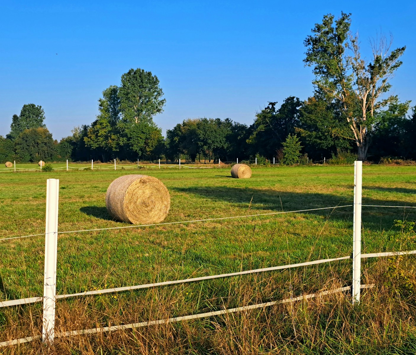 a field with hay bales in the middle of it